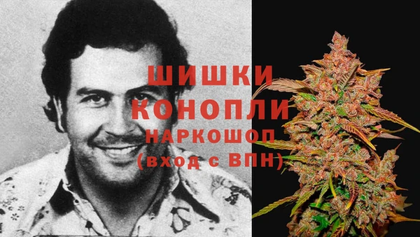 тгк Вяземский