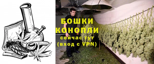 тгк Вяземский