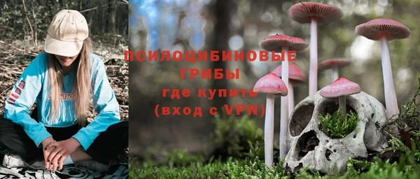 прущие крисы Вязники