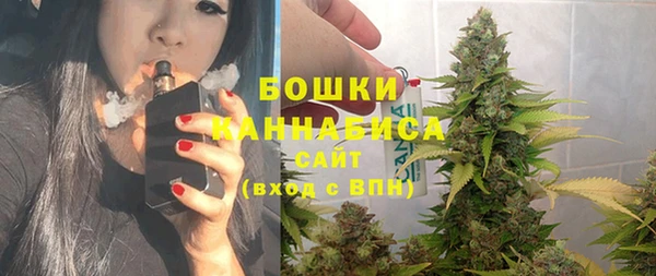тгк Вяземский