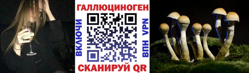 Галлюциногенные грибы мицелий  Купить закладки  Кировск 